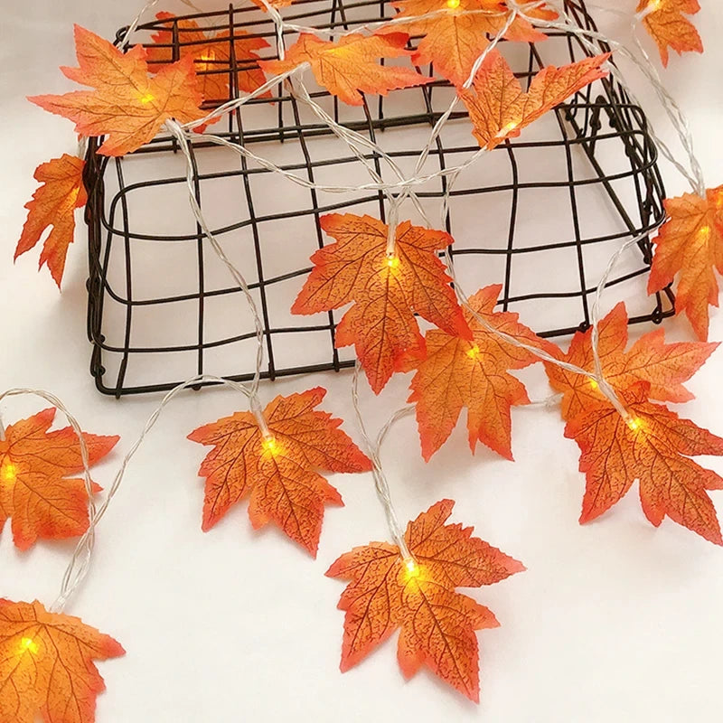 Guirlande Lumineuse Halloween - Feuilles d'Érable